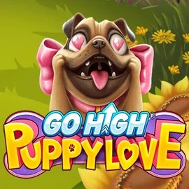 Enjoy Go High Puppy Love by RubyPlay – logo hosted on caseacasinoo.nl